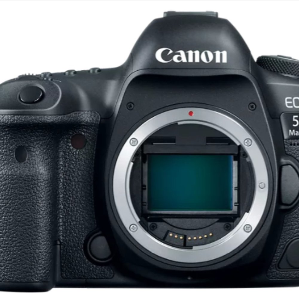 Canon EOS 5D Mark IV Canon zoom lens EF 24-70 2.8L ll USM Canon Speedlite 600EX